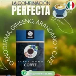 cafe-con-ganoderma-arandanos1-mx