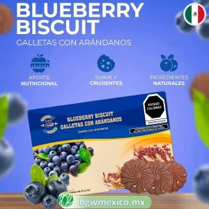 galletas-de-arandanos-blueberry-biscuit1-mx