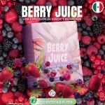 jugo-de-arandano-vitamina-c-berry-juice1-mx